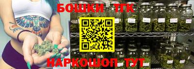 тгк Новозыбков