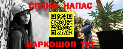 тгк Новозыбков